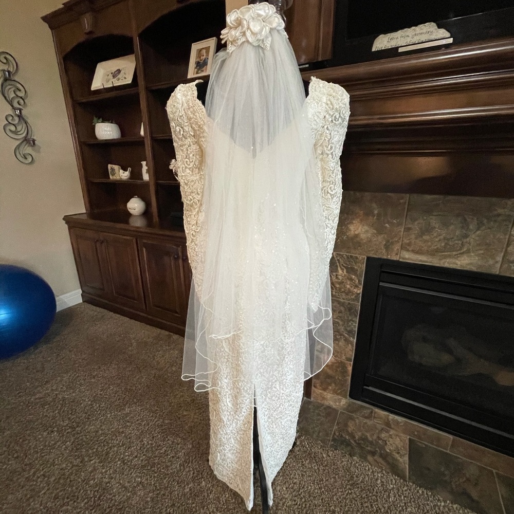 Veil - Picture 3 of 3